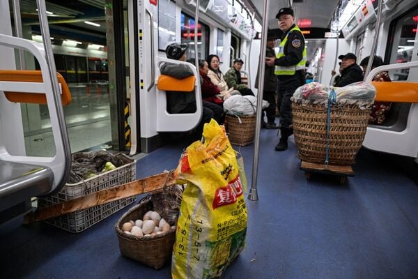 農村青年：被中共像牛馬一樣騙(圖)