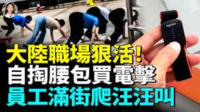 央視大推「電擊手環」比緬甸電詐更扎心(視頻)