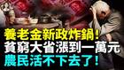養老金新政炸鍋農民活不下去了(視頻)