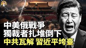 纳迪叶的2026年预警：独裁者成排倒下(视频)