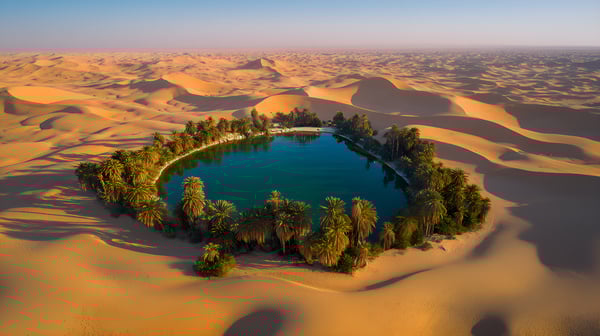 AS_撒哈拉_1676664675