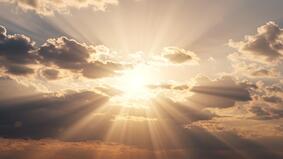 曾经是动物催眠中发掘出前世记忆(图)