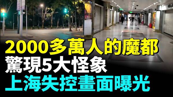上海經濟全面失控魔都驚現五大怪象(視頻)