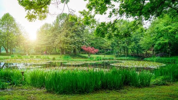 冤家轉世成為母子 為解前世恩怨？