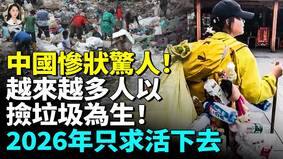 越多人捡垃圾为生2026年只求活下去(视频)