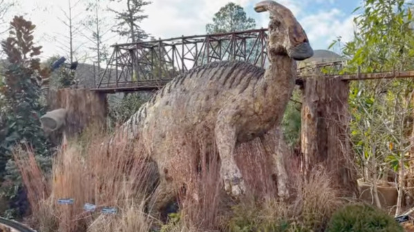 图片11:国家植物园室外的恐龙与小火车展区。（摄影：曹明/看中国）