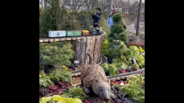 图片13:国家植物园室外的恐龙与小火车展区。（摄影：曹明/看中国）