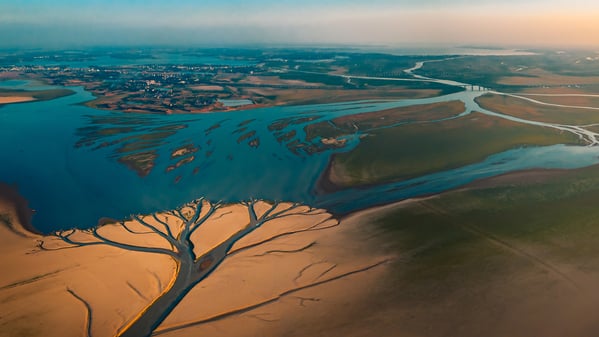 龍之九子黿王的宮殿——神奇的鄱陽湖（一）(圖)