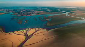 龍之九子黿王的宮殿——神奇的鄱陽湖（一）(圖)