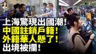 上海惊现出国潮中国注销户籍(视频)