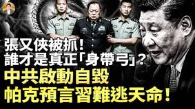 政变未遂张又侠被抓(视频)