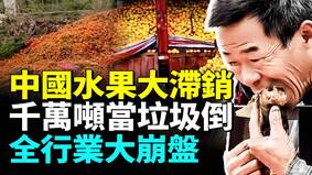 中國水果千萬噸大滯銷果農商販哀嚎(視頻)