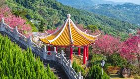 来世再续前缘带着胎记转生(图)