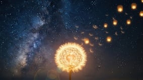 宇宙中的蒲公英源自850年前超新星爆炸(图)