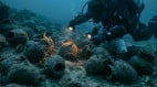 最古老沉船在海底沉睡4700年(图)