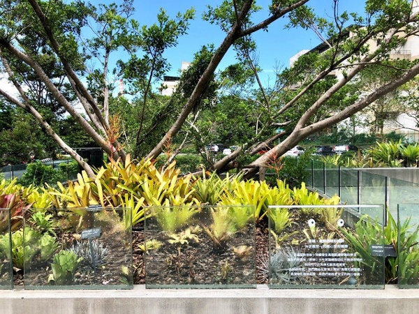 花莲县秀林乡和平村“台泥DAKA园区” 百凤园
