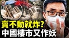 中国楼市崩盘首付一夜蒸发噩梦的开始是买房(视频)