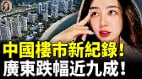 中国楼市新纪录广东跌幅近九成如今白菜价(视频)