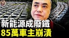 拆解國產新能源嚇傻國產速成車代價驚人(視頻)