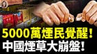 2026煙草價格集體大崩盤：為什麼大家突然都不抽了(視頻)