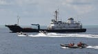 中共民兵船首現台灣東部海域美台同聲譴責(圖)