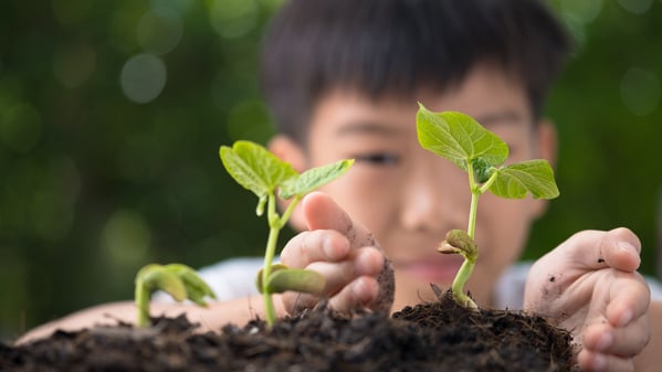 2026中國兒童失蹤潮教會孩子應對奪命體檢(圖)