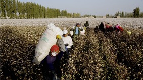 联合国警示强迫劳动康明凯批中共奴役(图)