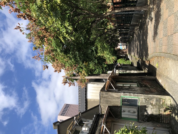 臺北 眷村 四四南村