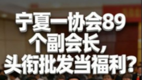 宁夏餐饮饭店协会竟有89名副会长网民炸锅(图)