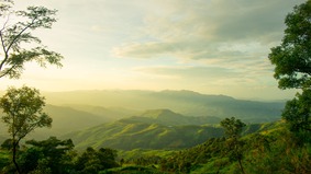 古语“人过五十三事莫管”指哪三事很多人晚年才明白(图)