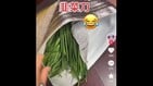 韭菜成刀中共吓破胆草木皆兵(图)