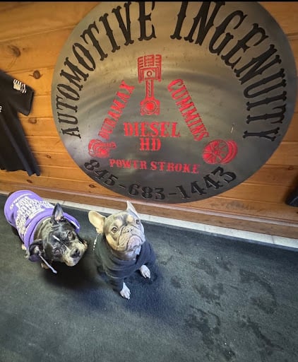 珍珠（Pearl，左）与崔西（Trixie，右）是汽车匠心 HD（Automotive Ingenuity HD）的吉祥物，它们总是摇着尾巴、带着满满的热情迎接每一位顾客。（图片来源：汽车匠心 HD提供）