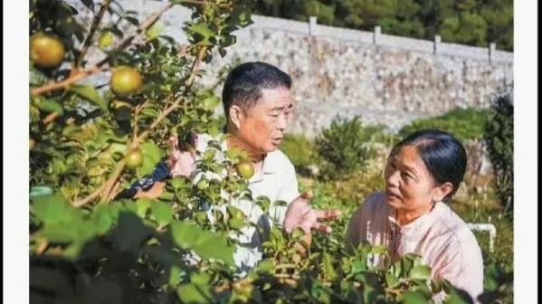 媒体造假澄清后又反转了(组图)