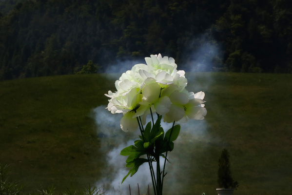 中共官方提醒警惕新冠變異新疆44歲副教授肺炎白肺離世(圖)