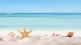 一个人的底色都藏在这“人生六度”里(图)