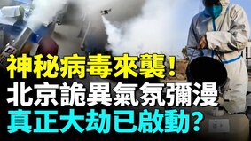 尼帕病毒大爆发北京急拉警报(视频)