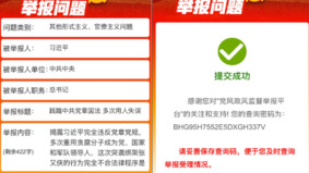 习近平被原中共官员实名举报：践踏中共党章国法多次用人失误(图)