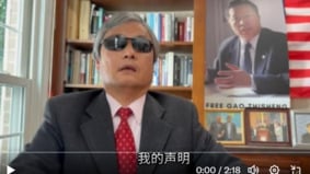 陈光诚起诉王志安造谣诽谤日本法院受理10日开庭(图)