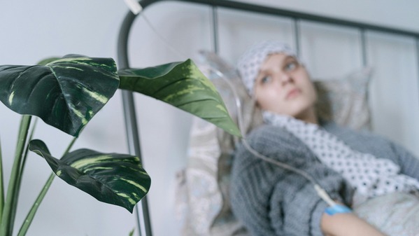 倪海厦：癌症的真相只有两个字(图)