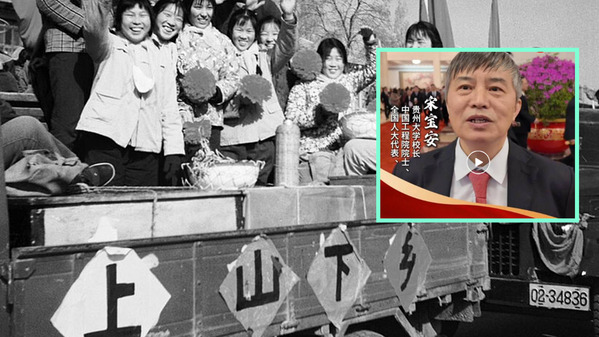 代表
