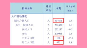 中国年减1100万人上海惊人数据曝光“生不如死”(图)