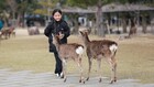 英国的血泪成为日本的“防灾教材”(图)