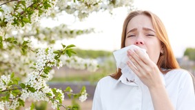過敏季提前來臨：氣溫回暖花粉已開始飄散(圖)