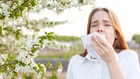 过敏季提前来临：气温回暖花粉已开始飘散(图)