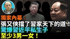 【袁红冰热点】独家内幕：张又侠挡了习家天下的道惊爆习近平私生子至少3男一女(视频)