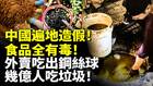 中國遍地造假食品全有毒幾億人吃垃圾(視頻)