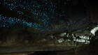叹为观止的洞穴奇观新西兰的“地底星空”(图)