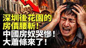深圳後花園的房價腰斬大蕭條來了(視頻)