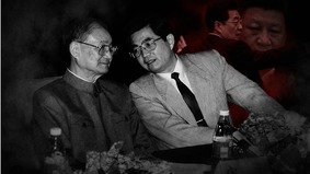 109岁宋平落幕中共最强“伯乐”亲历卸磨杀驴(组图)