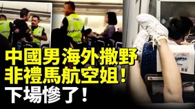 中國男海外撒野非禮馬航空姐(視頻)